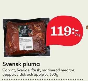 Svensk pluma