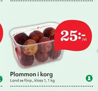 Plommon i korg