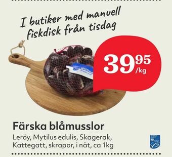 Hemköp Färska blåmusslor erbjuda