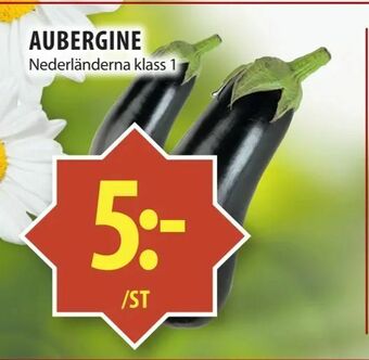 Matvärlden Tensta Aubergine erbjuda