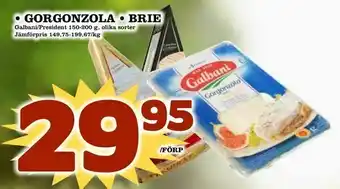 Gorgonzola • brie