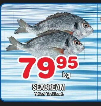 Nya Pulsen Seabream erbjuda