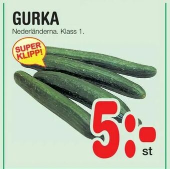 Nya Pulsen Gurka erbjuda