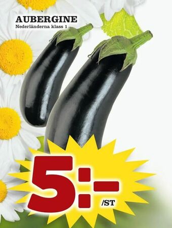 Supergrossen Aubergine erbjuda