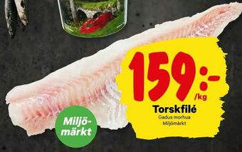 City Gross Torskfilé erbjuda