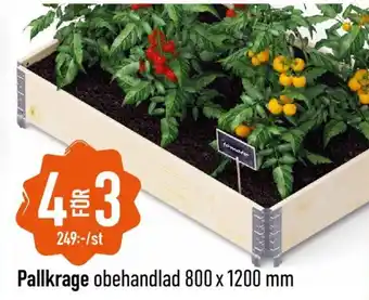 Pallkrage