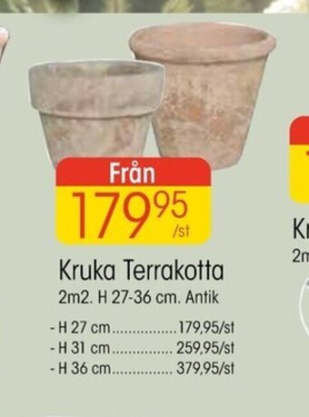 EKO Kruka Terrakotta erbjuda