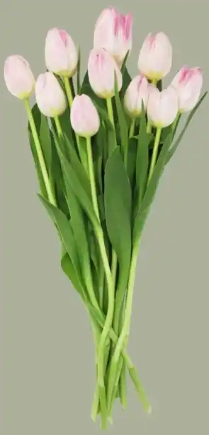 MatHem Tulpaner rosa 10-p erbjuda
