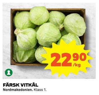 Coop Daglivs Färsk vitkål erbjuda