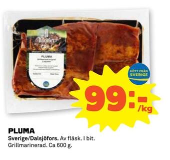 Stora Coop Pluma erbjuda