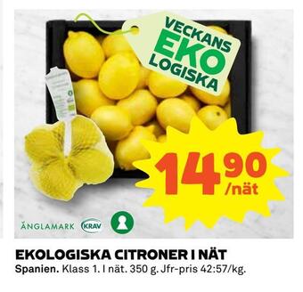 Ekologiska citroner i nät