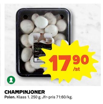 Champinjoner