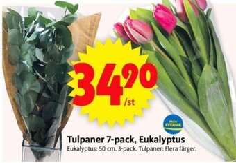 ICA Supermarket Tulpaner 7-Pack, Eukalyptus erbjuda