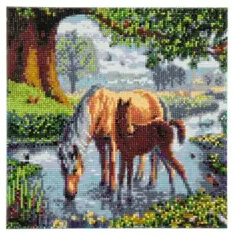 Crystal art kit diamond painting craft buddy
