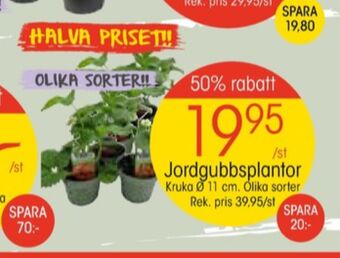 EKO Plantor erbjuda