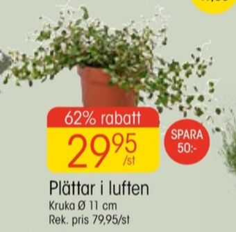 EKO Santa maria plantor erbjuda