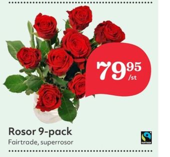 Hemköp Garant blommor erbjuda