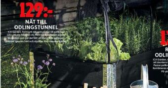 ICA Maxi Ica garden odlingstunnel erbjuda