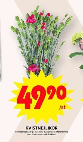 ICA Maxi Blomsterboda blommor erbjuda