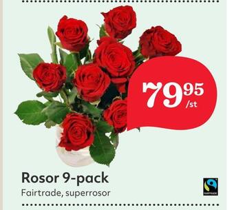 Hemköp Rosor 9-pack erbjuda