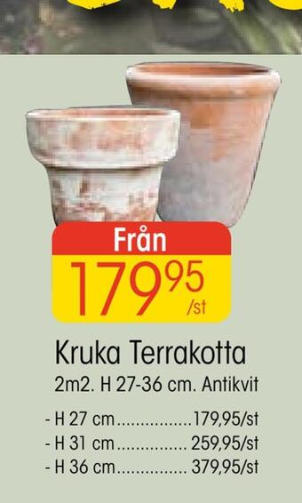 EKO Kruka terrakotta erbjuda