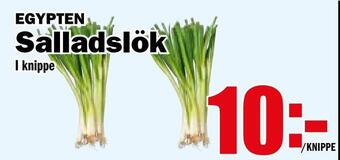 Matdax Salladslök erbjuda