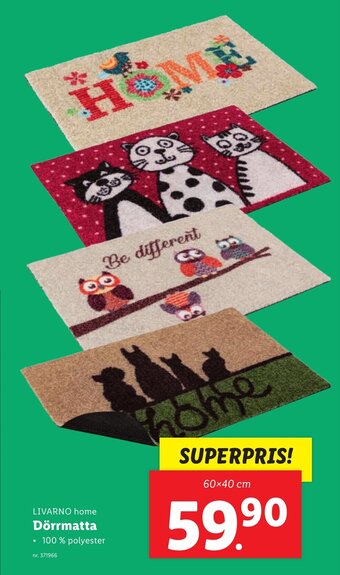 Lidl Dörrmatta erbjuda
