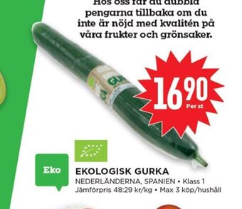 Willys Ekologisk Gurka erbjuda