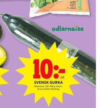 ICA Kvantum Svensk Gurka erbjuda