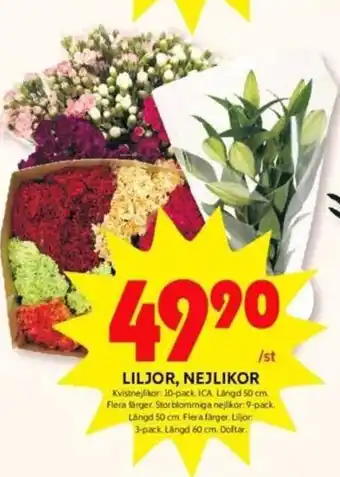 Liljor, Nejlikor