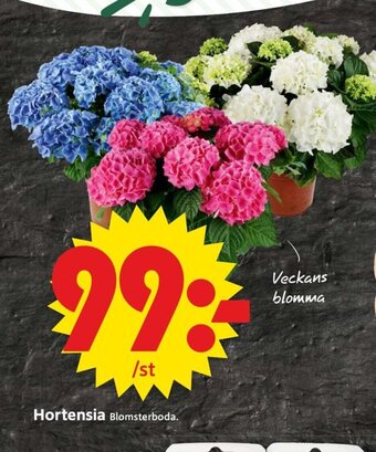 ICA Supermarket Hortensia erbjuda