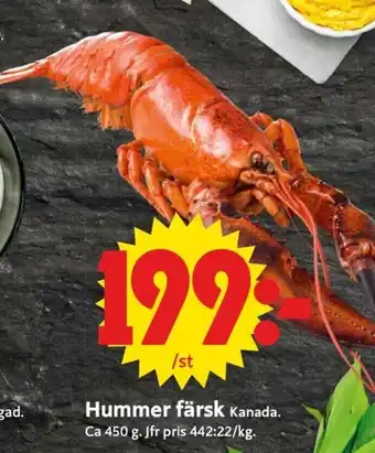 ICA Supermarket Hummer Färsk erbjuda