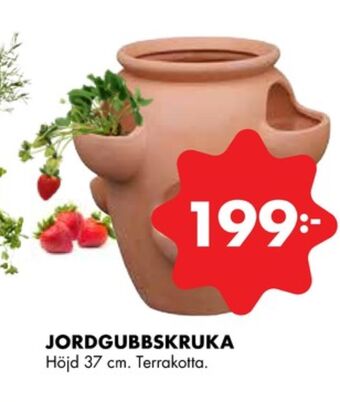 ÖoB Odla krukor erbjuda