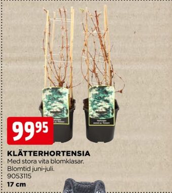 Jem&Fix Rölunda plantor erbjuda