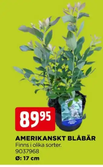 Jem&Fix Grillexpert bärbuskar erbjuda