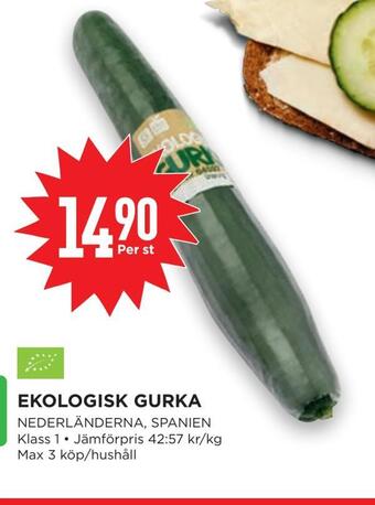 Willys Ekologisk gurka erbjuda