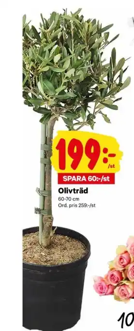 City Gross Kexchoklad fruktträd erbjuda