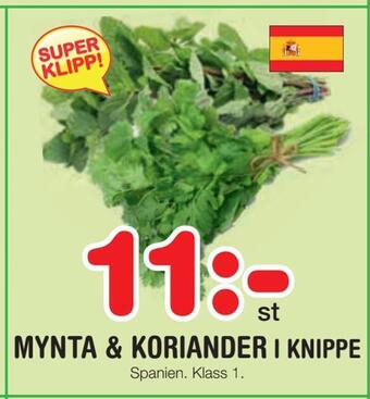 Nya Pulsen Mynta & koriander i knippe erbjuda