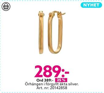Albrekts Guld Örhängen i förgyllt äkta silver erbjuda
