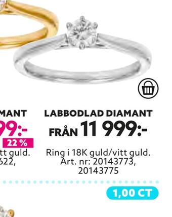 Albrekts Guld Labbodlad diamant erbjuda