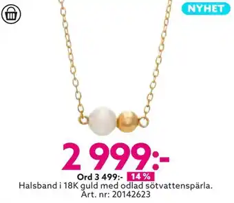 Albrekts Guld Halsband i 18k guld med odlad sötvattenspärla erbjuda