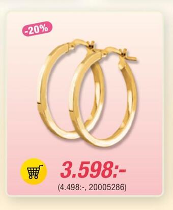 Guldfynd Örhängen i 18k guld erbjuda