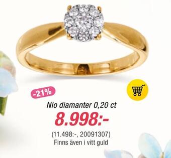 Guldfynd Nio diamanter 0,20 ct erbjuda