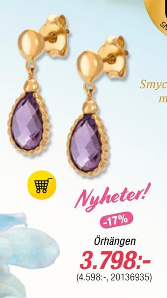 Guldfynd Örhängen erbjuda