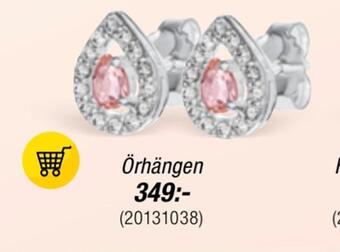 Guldfynd Örhängen erbjuda