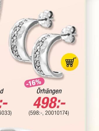 Guldfynd Örhängen erbjuda