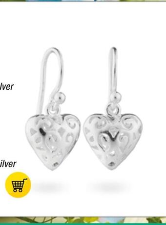 Guldfynd Örhängen i äkta silver erbjuda