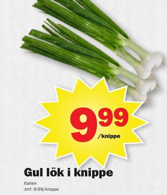 Pekås Gul lök i knippe erbjuda
