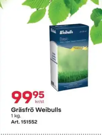 Weibull gräsfrö