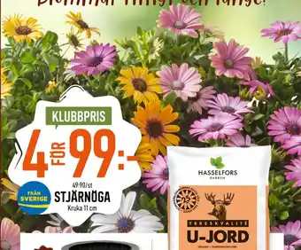 U-jord plantor